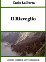 Il_Risveglio