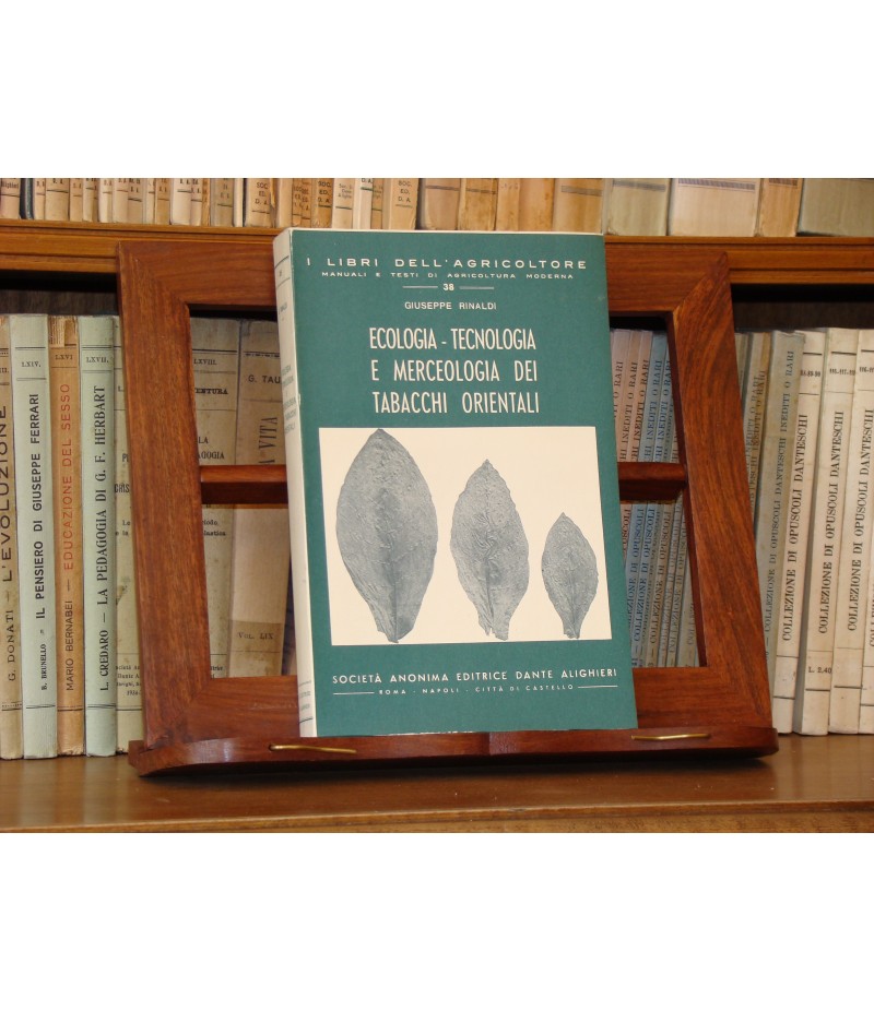 Rinaldi G. - Ecologia - tecnologia e..